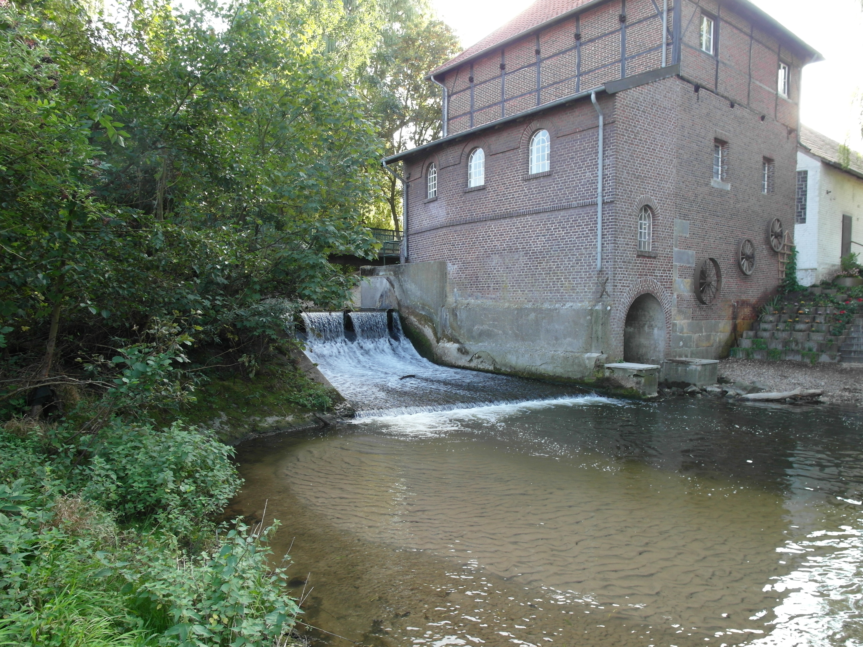 Fischweg Plagemanns Mühle (Metelen) und Projekt “Swimway Vecht”