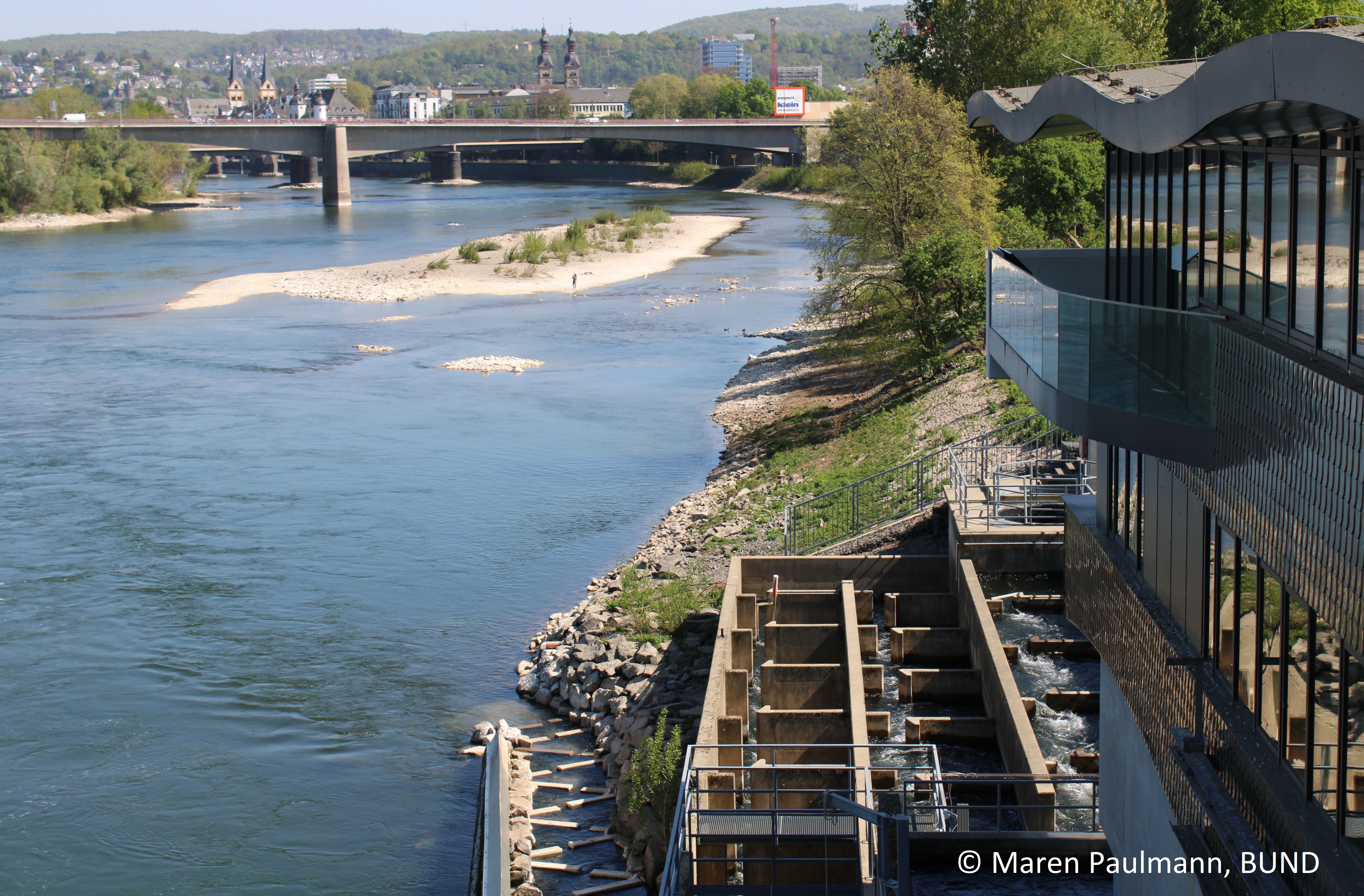 Fishpass Koblenz – open for everyone
