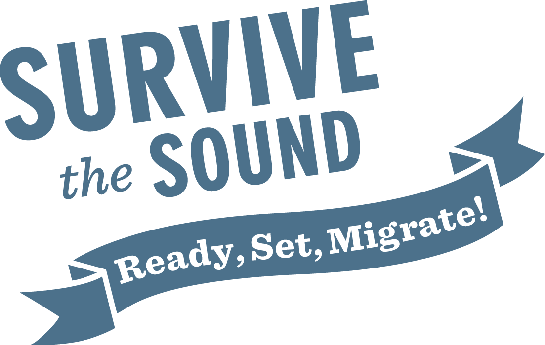 Survive the Sound