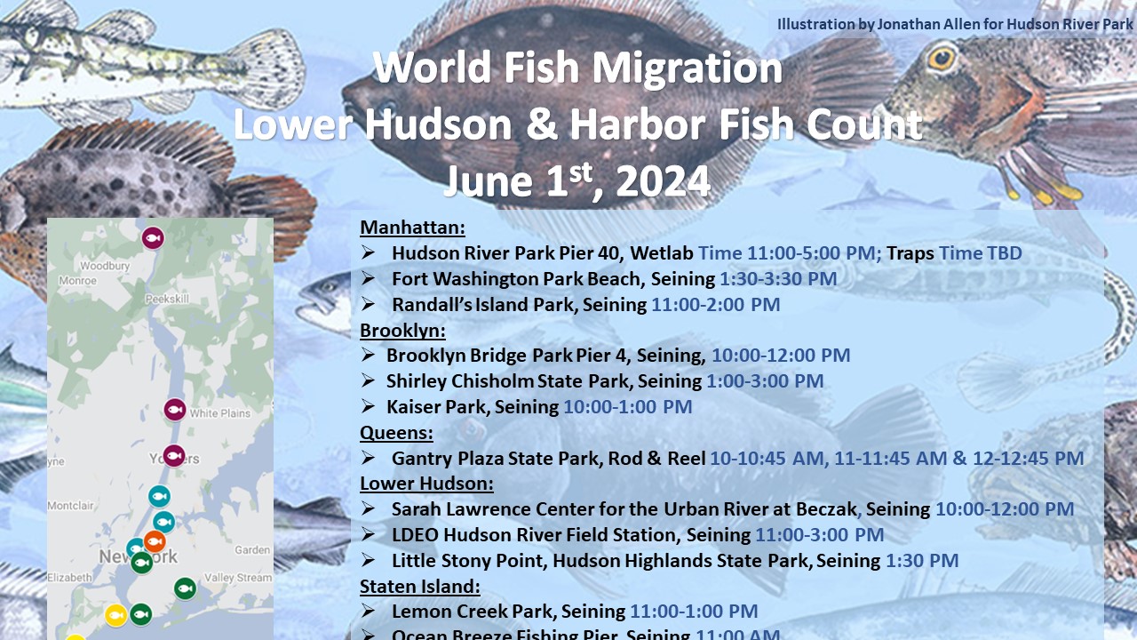 World Fish Migration Lower Hudson and Harbor Day
