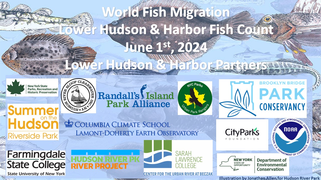 World Fish Migration Lower Hudson and Harbor Day