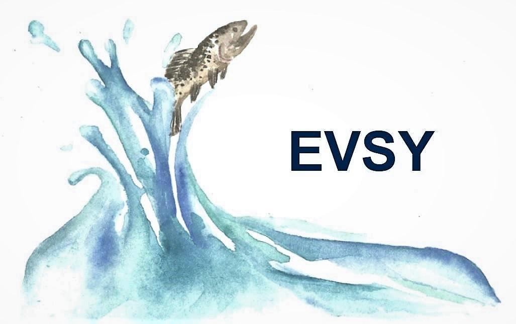 Eurajoen vesiensuojeluyhdistys (EVSY) ry