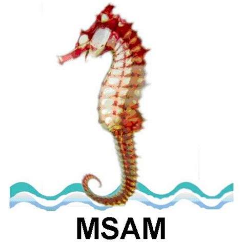 Marine Science Association Myanmar