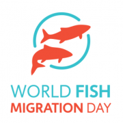 (c) Worldfishmigrationday.com