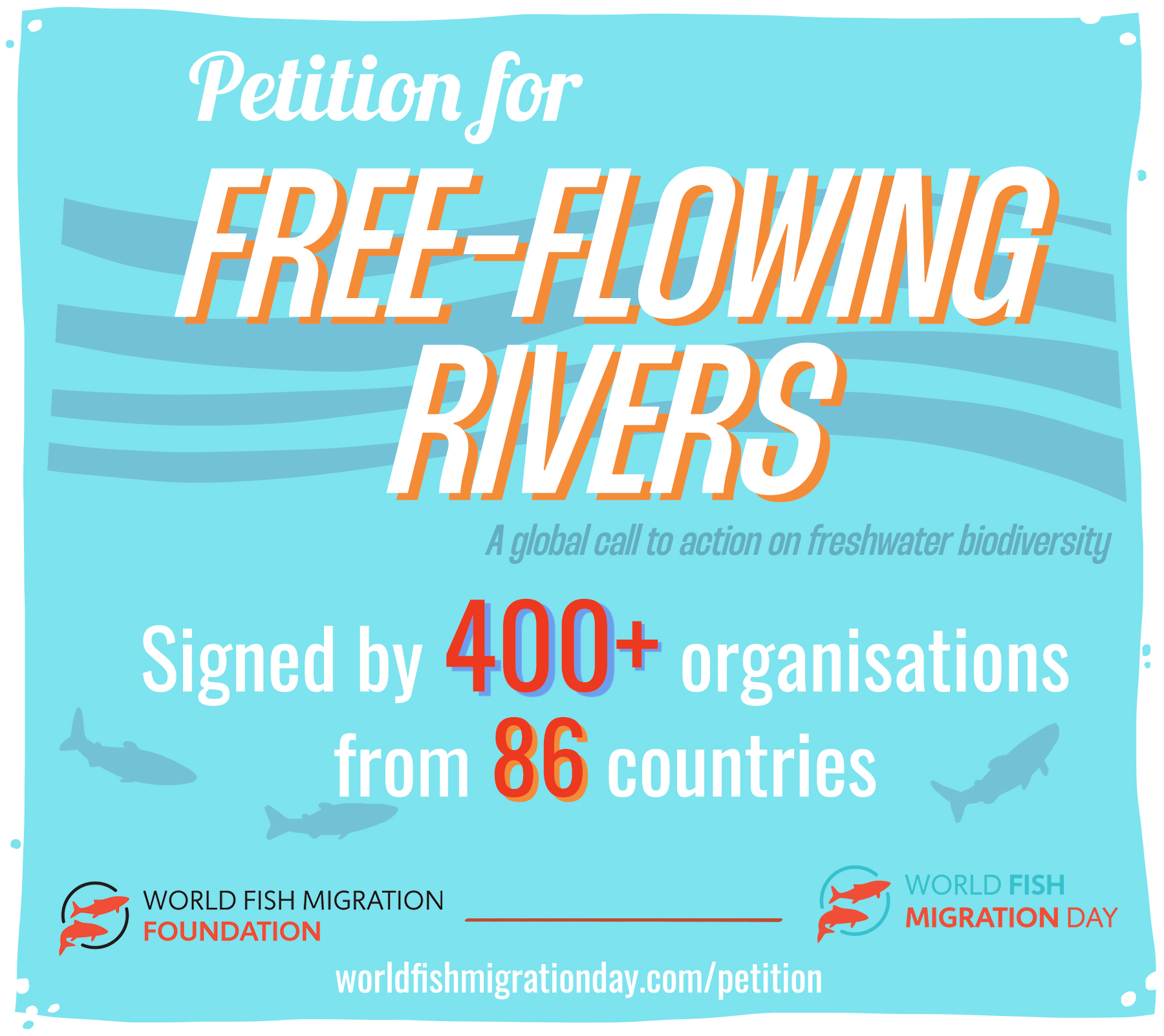 400+ organizations call for urgent action to save migratory freshwater fish and free-flowing rivers