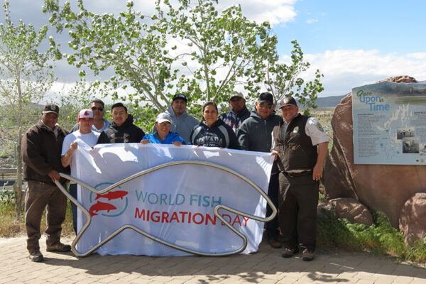 On the migration around the USA in 2017, Happy Fish stopped in Nevada to recreate the migration route to Lake Tahoe along the Truckee River of the once thought to be extinct Lahontan cutthroat trout. In reality, a small, isolated population of this fish species is still present as it was brought to the National Fish Hatchery for rearing.