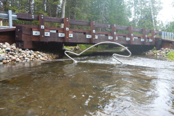 Happy Fish traveled around Michigan, USA in 2023. In this photo Happy Fish is swimming in Hunt Creek located in northeast Michigan. At this site, poor functioning road culverts were replaced by NOAA and Huron Pines with a bridge (shown). The bridge restored access to habitat for native brook trout and many other aquatic species.