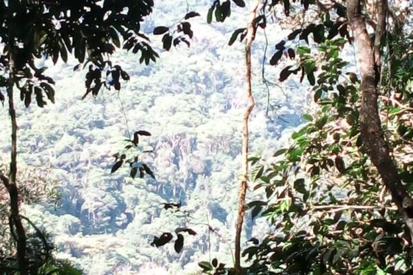 WFMD2022 – Democratic Republic of the Congo – World Fish Migration Day