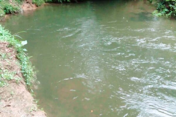 WFMD2022 – Democratic Republic of the Congo – World Fish Migration Day