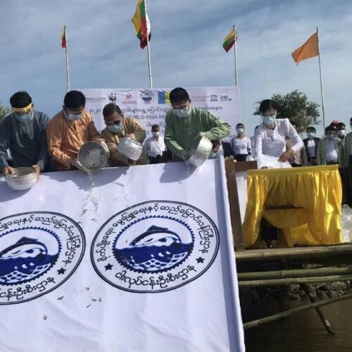 WFMD2020 – Myanmar