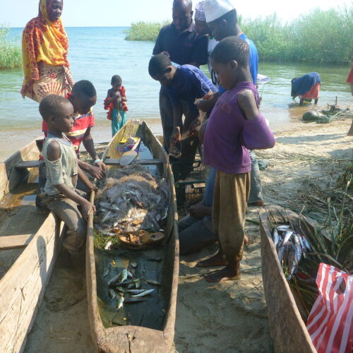 WFMD2020 – Tanzania