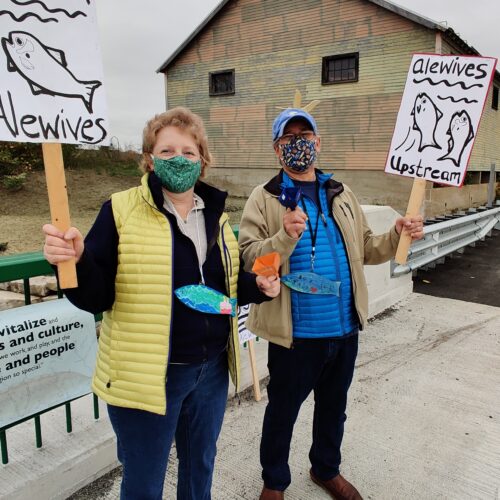 WFMD2020 – USA
