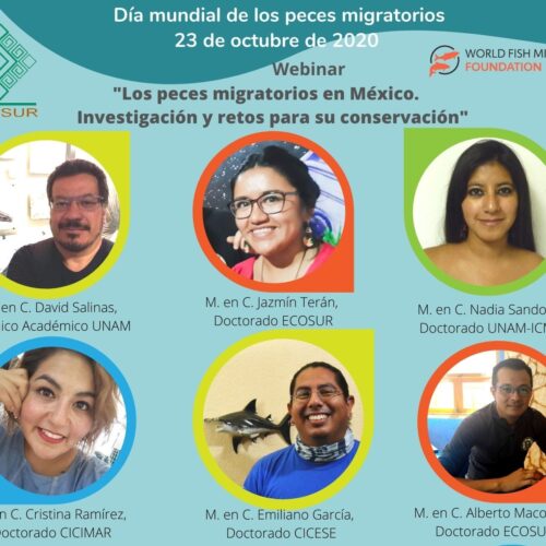 WFMD2020 – Mexico