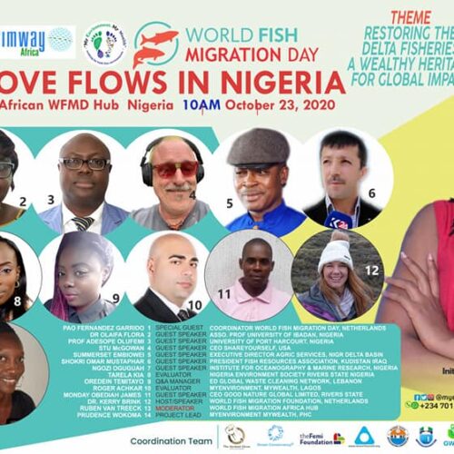 WFMD2020 – Nigeria