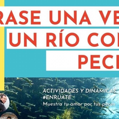 WFMD2020 – Peru