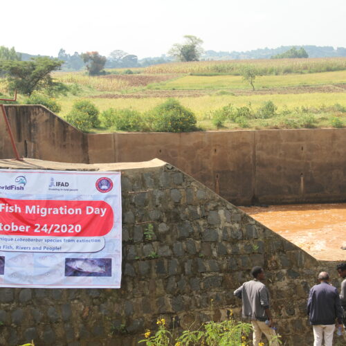 WFMD2020 – Ethiopia