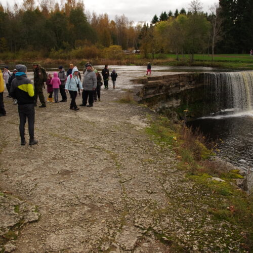 WFMD2020 – Estonia