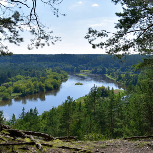 WFMD2020 – Lithuania