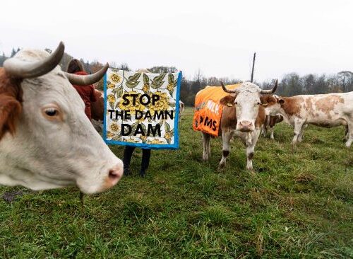 WFMD2020 – Poland