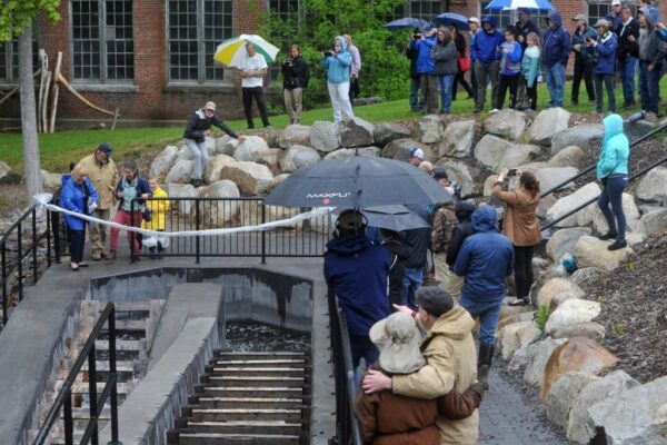 57_UnitedStates_2022 (2) 18753# 01alewives VASSALBORO, MAINE May 19, 2022. People gather at a completed Denil fishway during an event that celebrated the project completion along Outlet Stream that flows past the Olde Mill Place at 934 Main St. in Vassalboro, Maine Thursday May 19, 2022. The event, hosted by Maine Rivers, featured a ribbon cutting by Maine Governor Janet Mills. Mills is pictured at the bottom left, The completed project clears the migration path up China Lake Outlet Stream for the alewives. The project is designed to restore river access and encourage the return of the alewives. (Morning Sentinel/Rich Abrahamson)