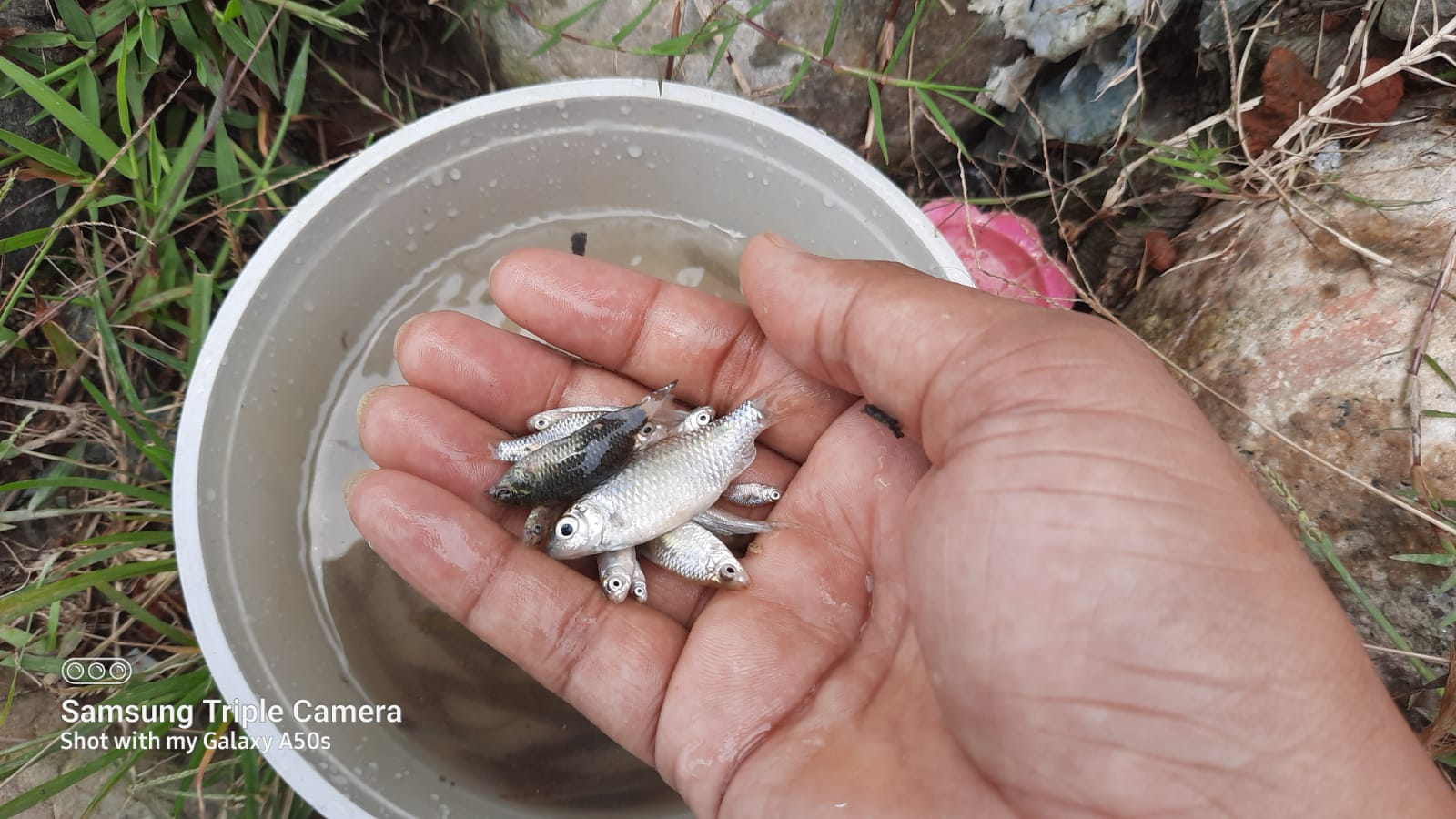 WFMD2022 – Bangladesh – World Fish Migration Day