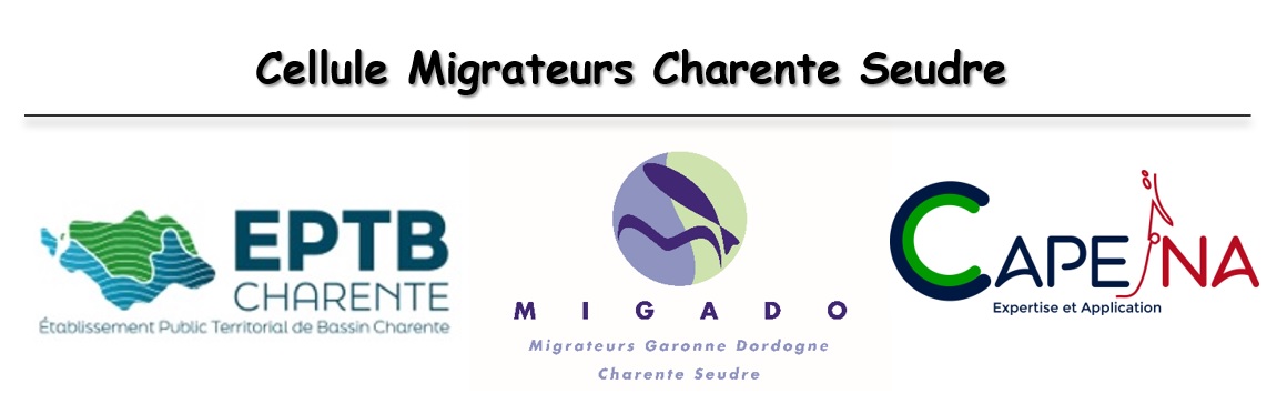 Cellule Migrateurs Charente Seudre